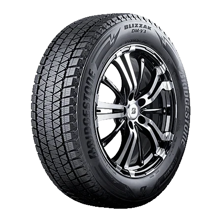 Bridgestone Blizzak DM V3