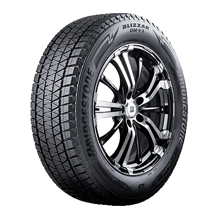 Bridgestone Blizzak DM V3