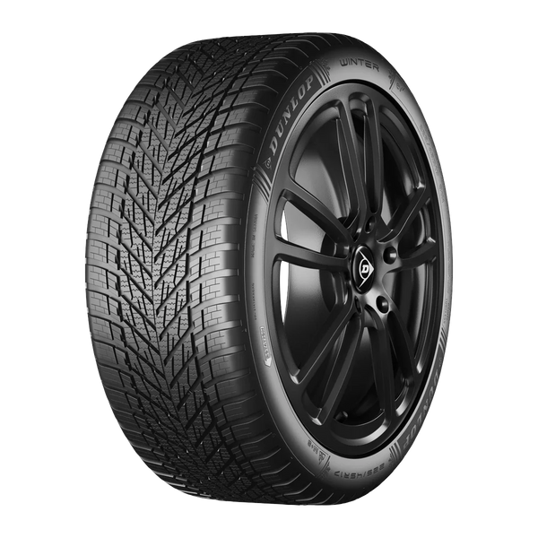 Dunlop Winter