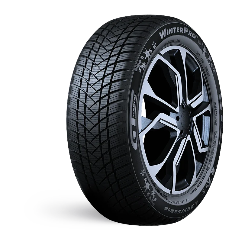 Gtradial Winterpro 2 Evo