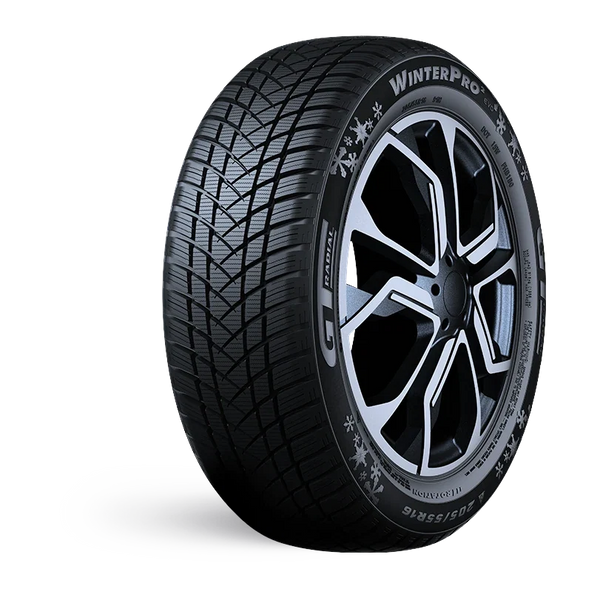 Gtradial Winterpro 2 Evo