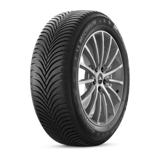 Michelin ALPIN 5 ZP