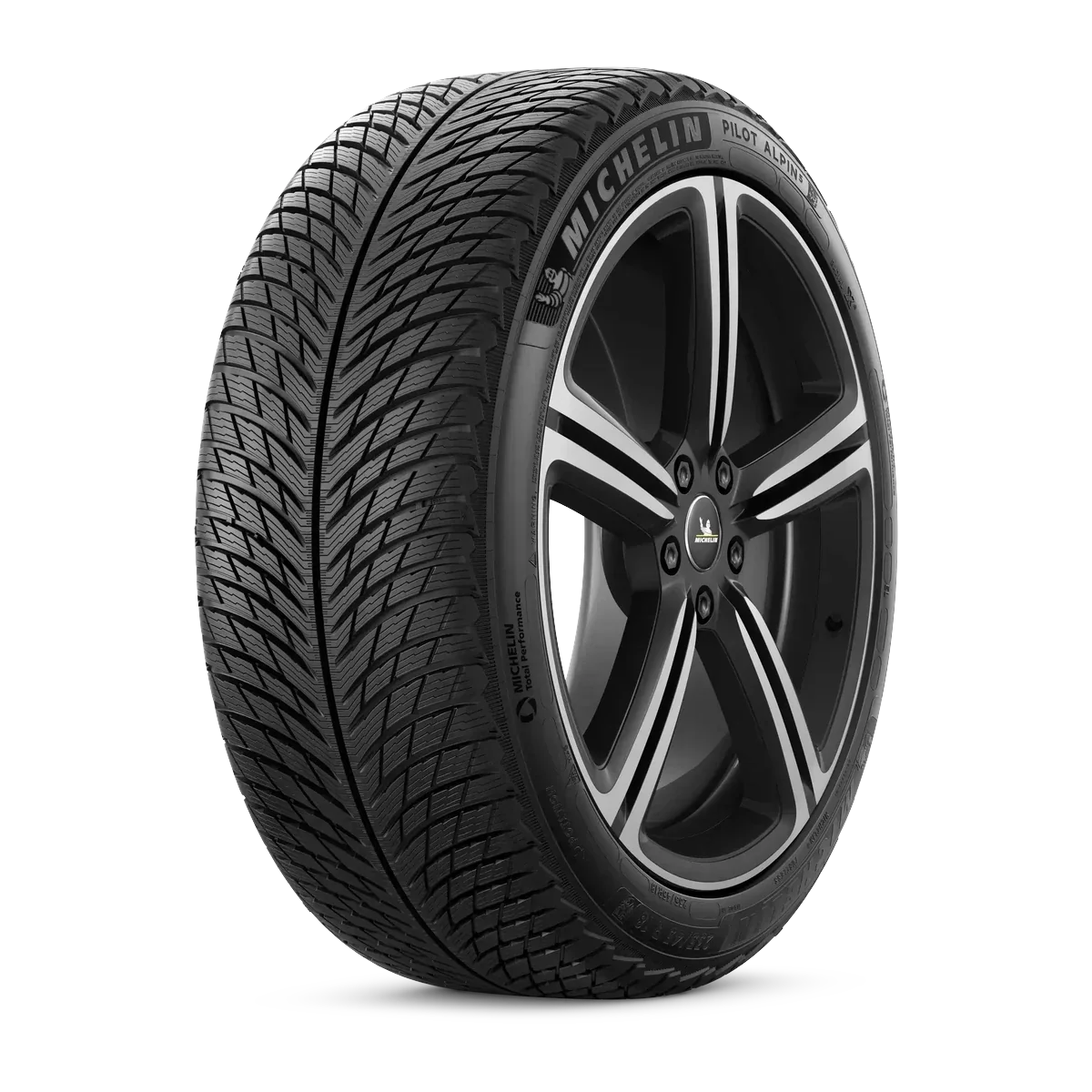 Michelin Pilot Alpin 5